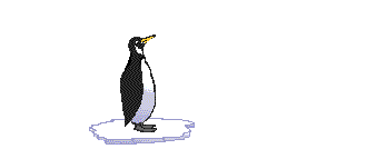 pinguin.gif